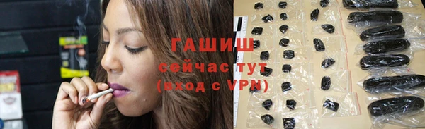 мяу мяу мука Абаза
