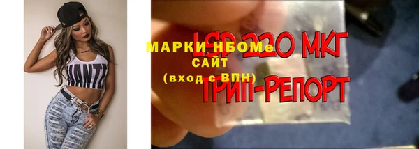 тгк Абинск
