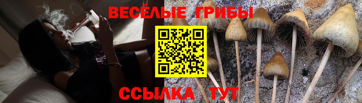 Богородск  Псилоцибиновые грибы ЛСД  Вход с VPN 